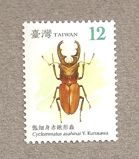 Escarabajos de Taiwán