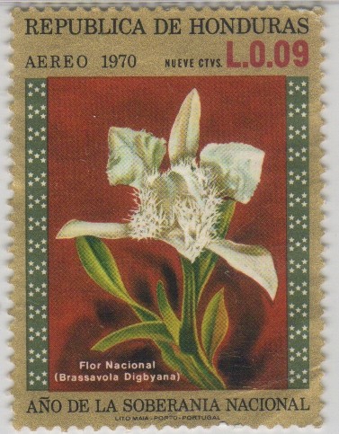 Año de la Soberanía Nacional - Flor Nacional