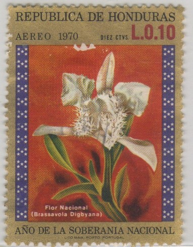 Año de la Soberanía Nacional - Flor Nacional