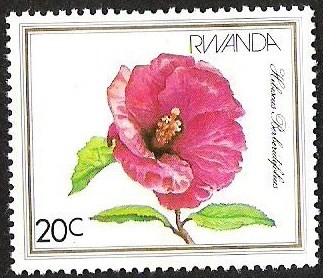 SELLO RWANDA