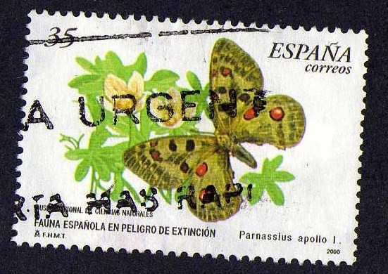 Fauna española en peligro de extinción