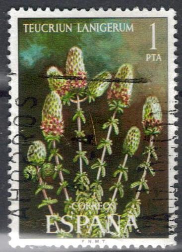 ESPANA 1974 (E2220) Flora - Teucrium lanigerum 1p 3 INTERCAMBIO