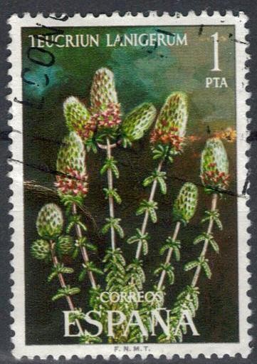 ESPANA 1974 (E2220) Flora - Teucrium lanigerum 1p 2