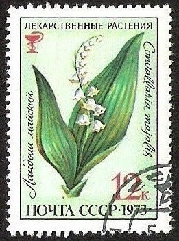 FLORES - CONVALLARIA MAJALIS