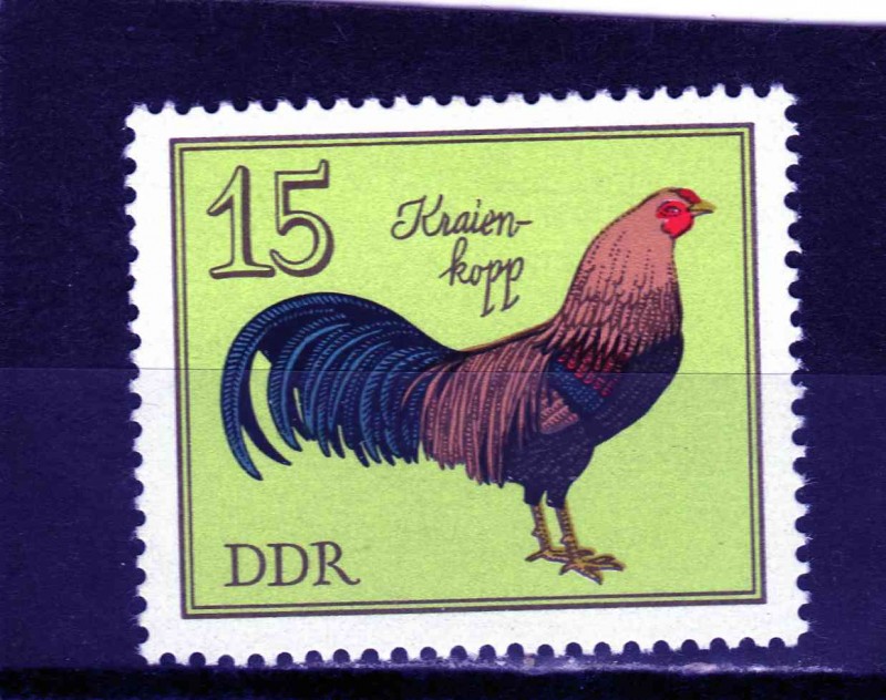 R.D.A.