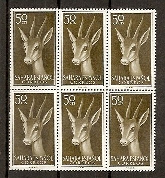 Sahara / Fauna