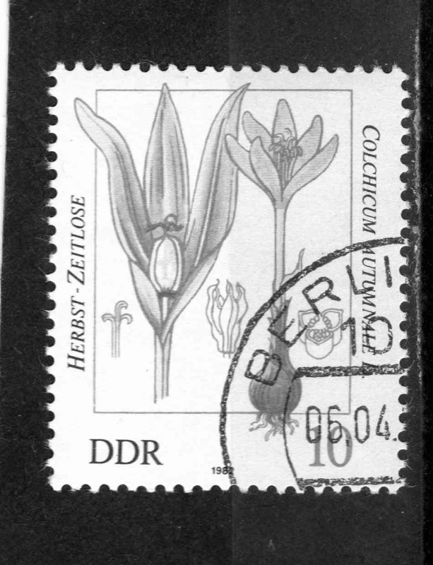 R.D.A.