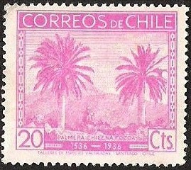 CENTENARIO DESCUBRIMIENTO DE CHILE - PALMERAS CHILENAS