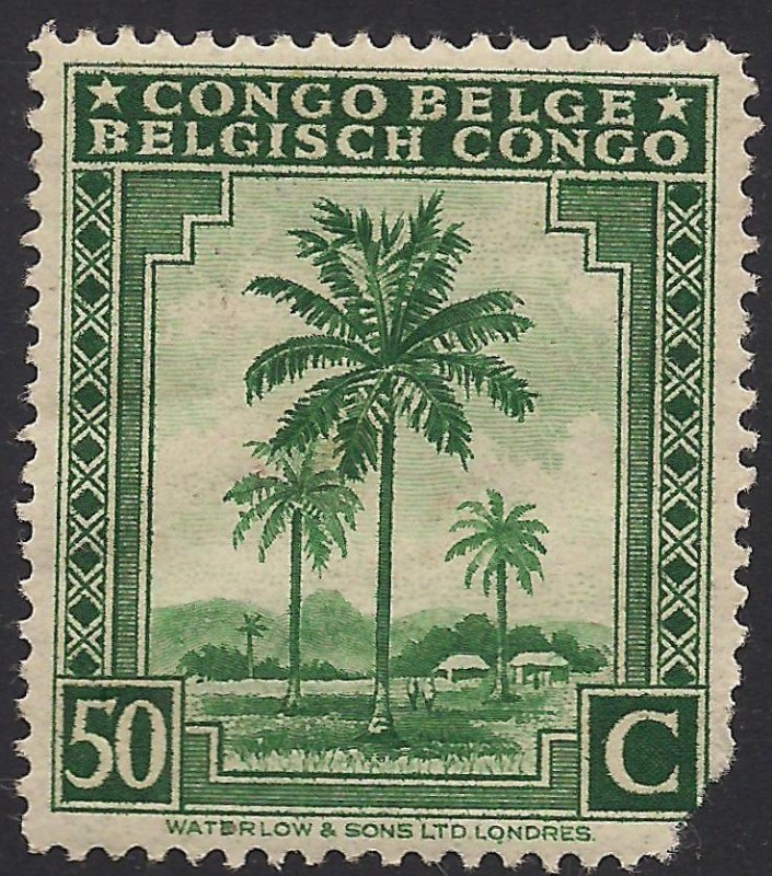 Palmeras de Aceite.