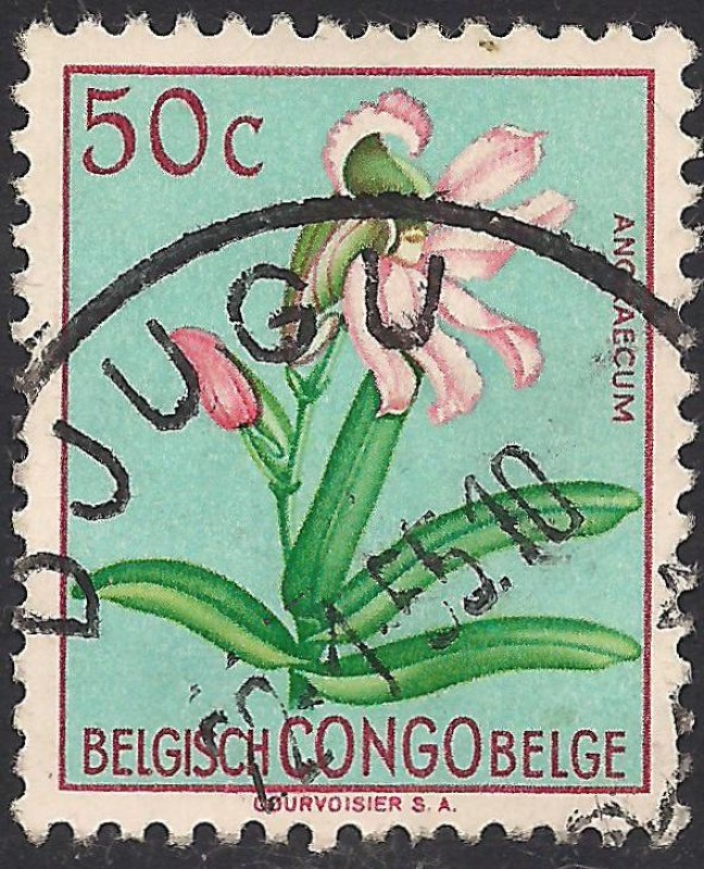 Flores 1952: Angraecum.