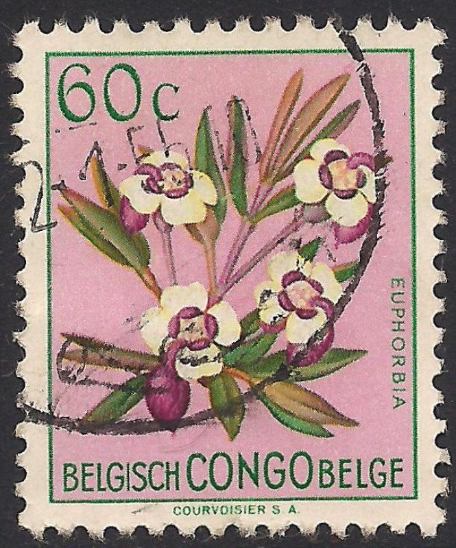 Flores 1952: Euphorbia.