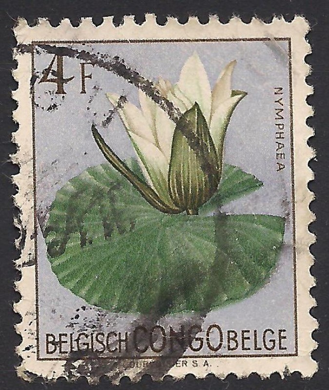 Flores 1952: Nymphaea