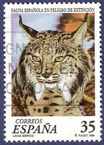 Edifil 3529 Lince ibérico 35