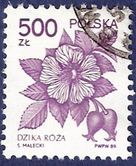 POLONIA Flora 500