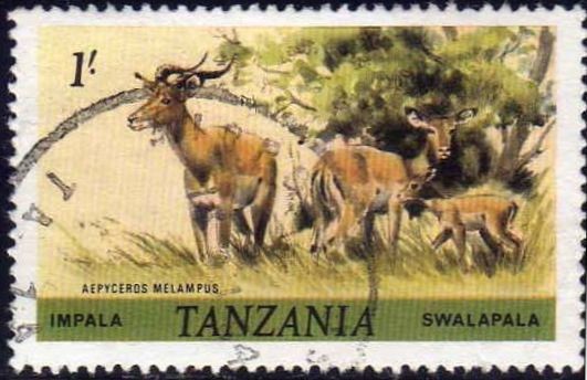 Tanzania 1980 Sello Fauna Impala Swalapala Aepycero Melampus Usado 