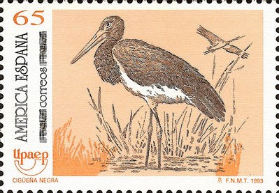 america-upaep.aves en peligro de extincion.