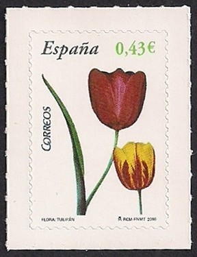 Flora y Fauna-Tulipan