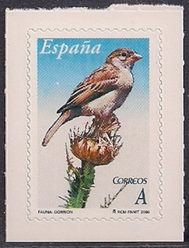 Flora y Fauna-Gorrión