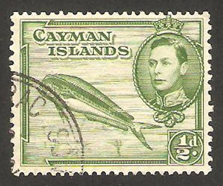 islas caiman - george VI, coryphene