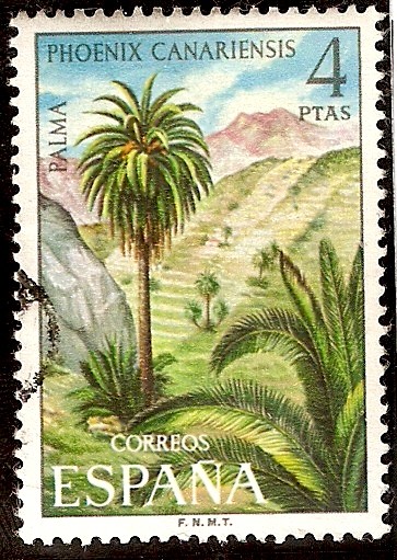 Flora. Palma