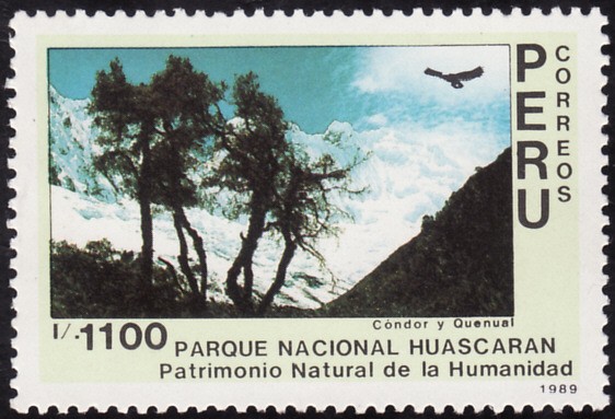 PARQUE NACIONAL DE HUASCARAN-condor