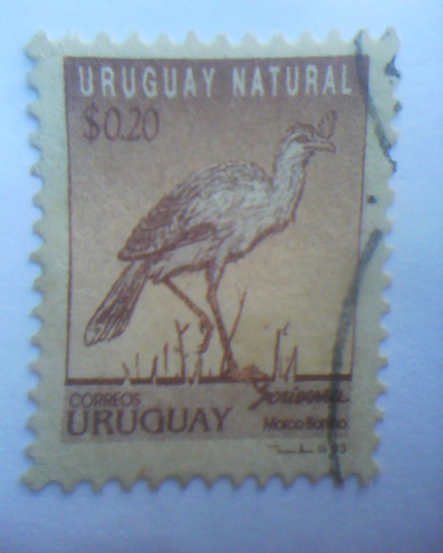 uruguay natural