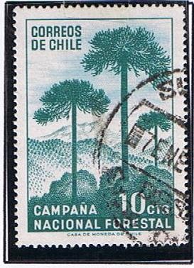 Forestal