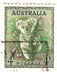 Koala