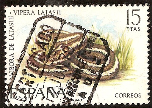 Fauna. Víbora de Lataste