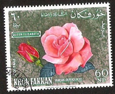 KHOR FAKKAN - QUEEN ELIZABETH