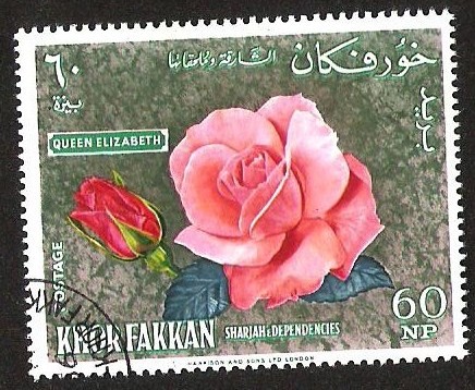 KHOR FAKKAN - QUEEN ELIZABETH