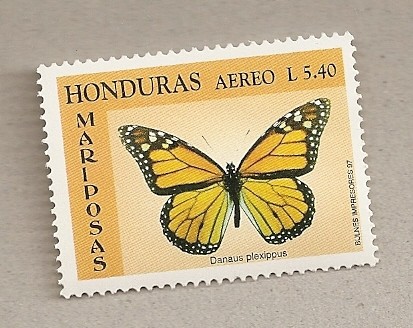 Mariposa Danaus plexipus