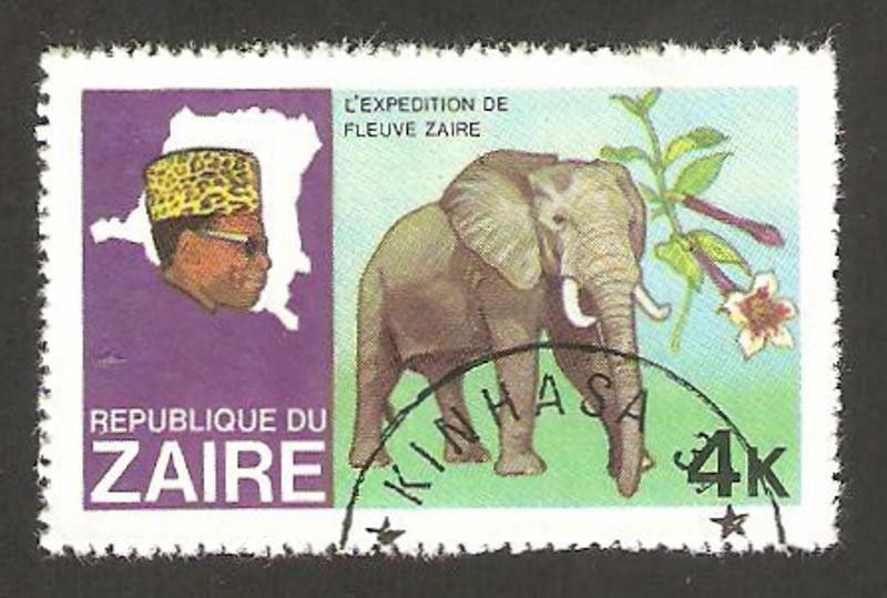 zaire - expedición por el río zaire, un elefante