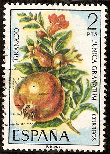 Flora - Granado
