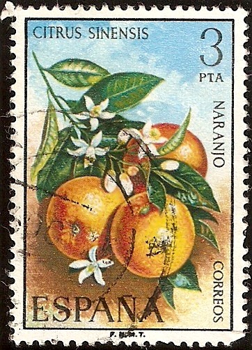 Flora - Naranjo