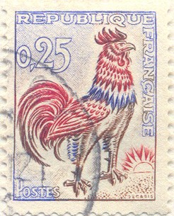 Gallo