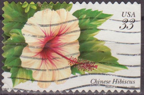USA 1999 Scott 3313 Sello Flora Flores Tropicales Chinese Hibiscus usado Estados Unidos Etats Unis 3