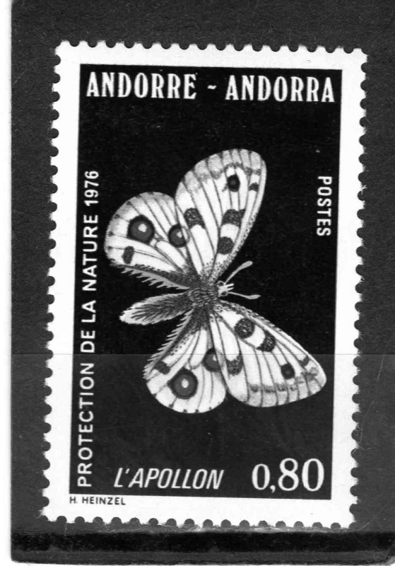 mariposa