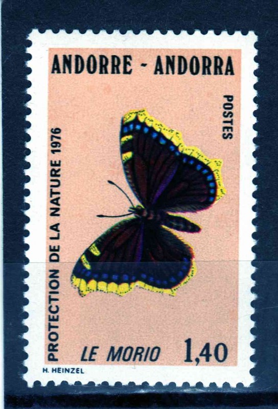 mariposa