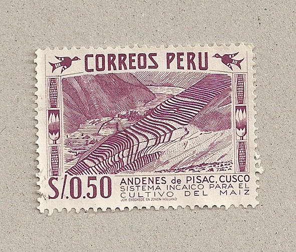 Stamp Cultivo Maíz En Terrazas 0 50 Of Peru America