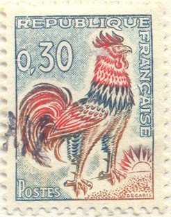 Gallo