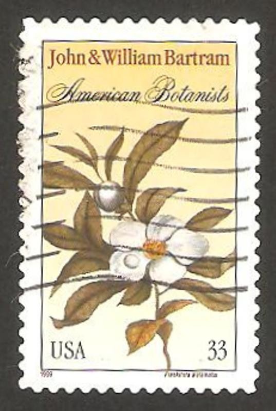 Homenaje a los botánicos John y William Bartram, flor franklinia alatamaha
