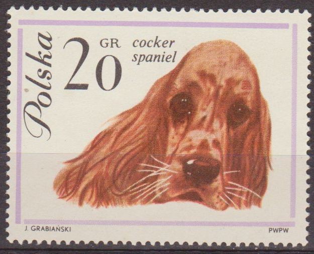 Polonia 1963 Scott 1115 Sello Nuevo Fauna Perros Cocker Spaniel Polska Poland Polen Pologne 