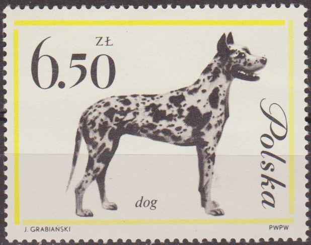 Polonia 1963 Scott 1123 Sello Nuevo Fauna Perros Sheep Gran Danes Polska Poland Polen Pologne 