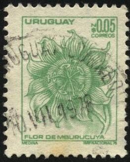 Flor del Mburucuyá.