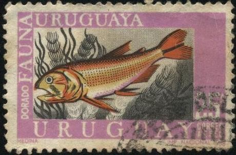 Fauna ictícola. Pez de agua dulce DORADO.