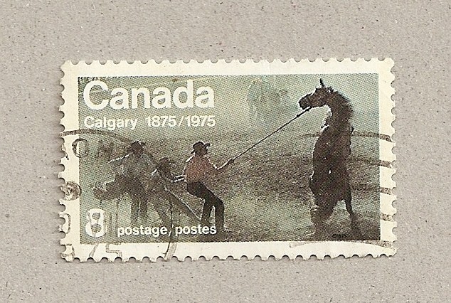 Calgary Doma de caballos