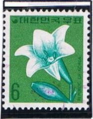 Flor