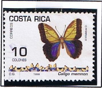 Mariposa (Caligo memnon )