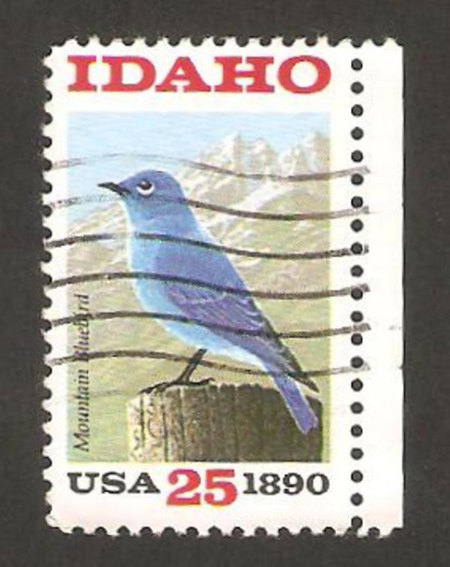 Centº del Estado de Idaho